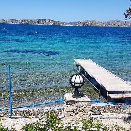 Mavi Akvaryum Pension Hotel Sogut  Kültér fotó