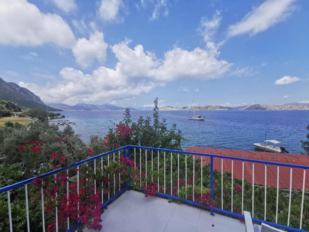 Mavi Akvaryum Pension Hotel Sogut  Kültér fotó