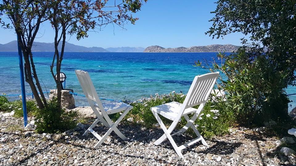 Mavi Akvaryum Pension Hotel Sogut  Kültér fotó