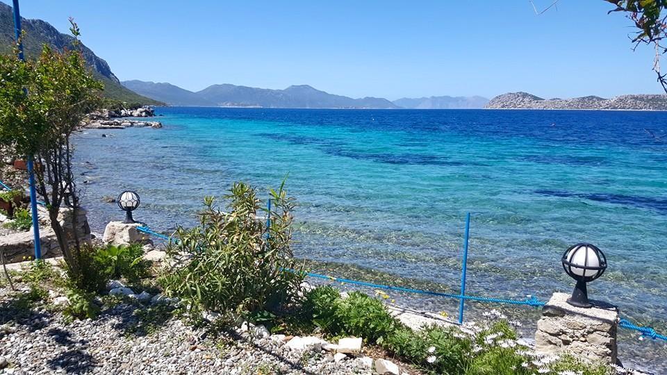 Mavi Akvaryum Pension Hotel Sogut  Kültér fotó