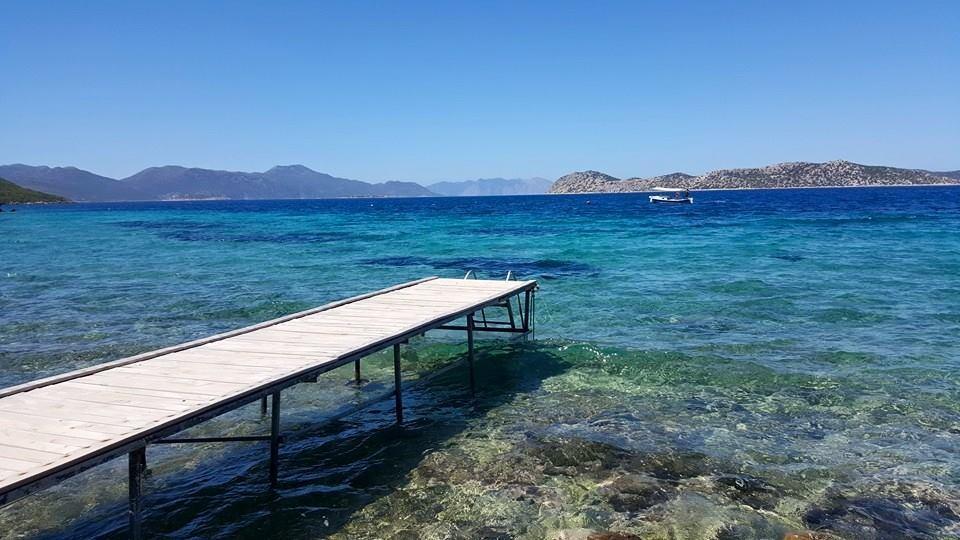 Mavi Akvaryum Pension Hotel Sogut  Kültér fotó