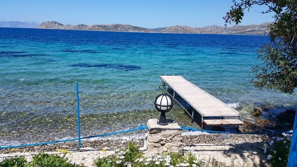 Mavi Akvaryum Pension Hotel Sogut  Kültér fotó