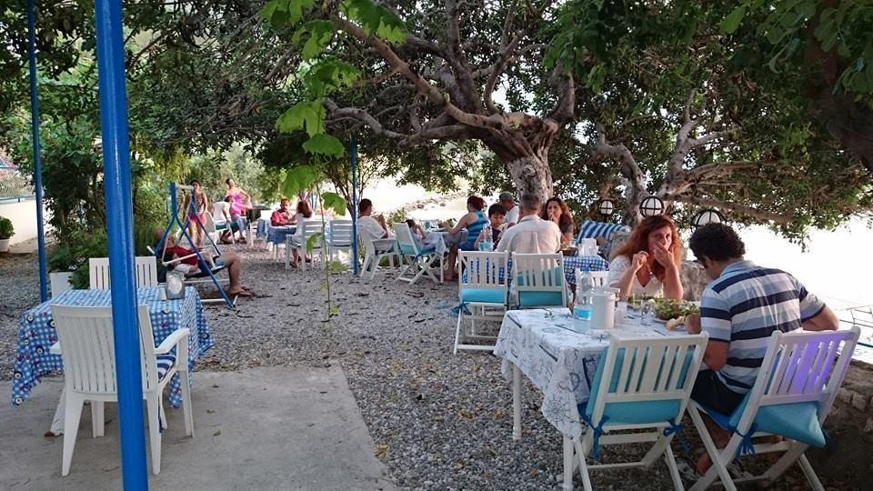 Mavi Akvaryum Pension Hotel Sogut  Kültér fotó