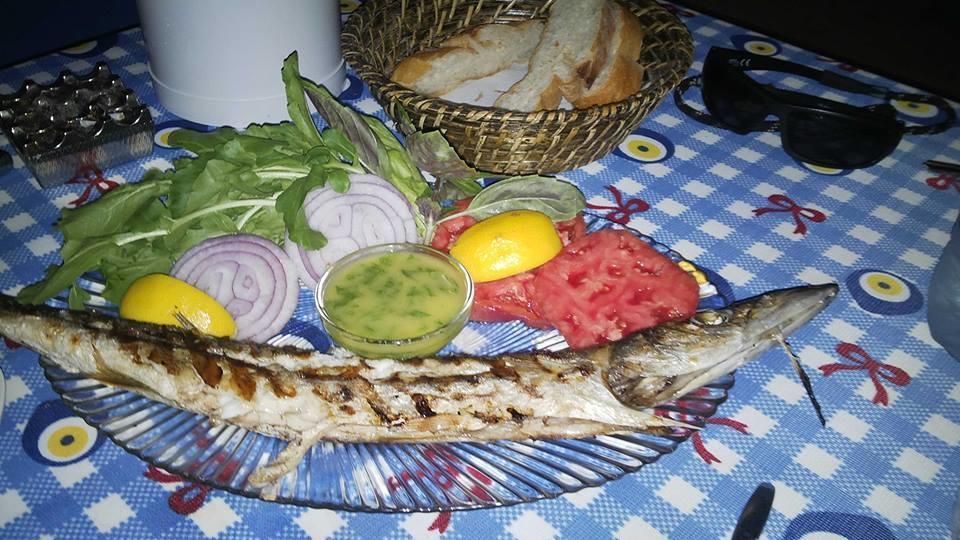 Mavi Akvaryum Pension Hotel Sogut  Kültér fotó