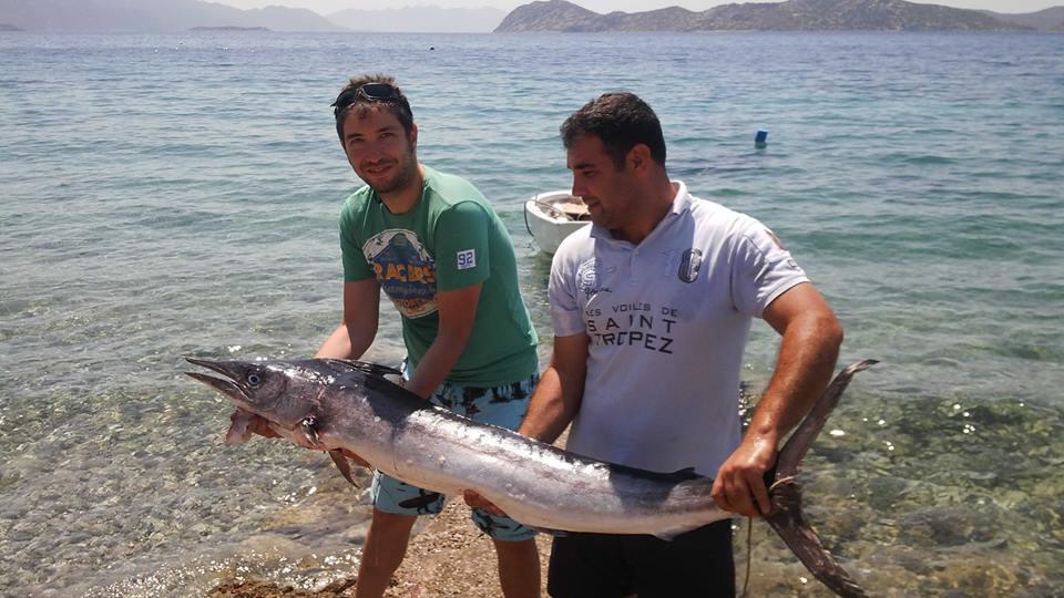 Mavi Akvaryum Pension Hotel Sogut  Kültér fotó