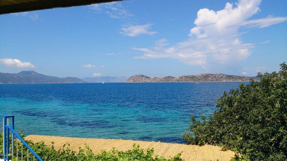Mavi Akvaryum Pension Hotel Sogut  Kültér fotó