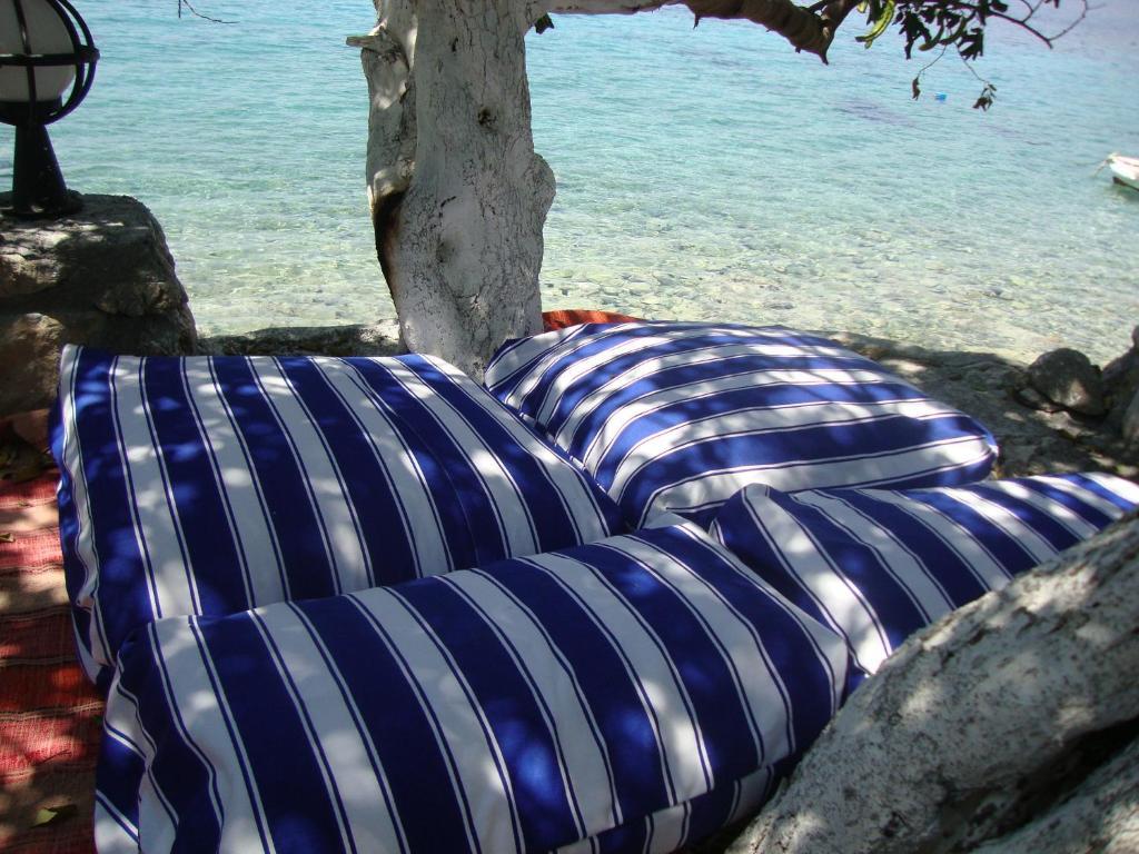 Mavi Akvaryum Pension Hotel Sogut  Kültér fotó