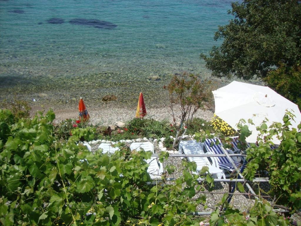 Mavi Akvaryum Pension Hotel Sogut  Kültér fotó