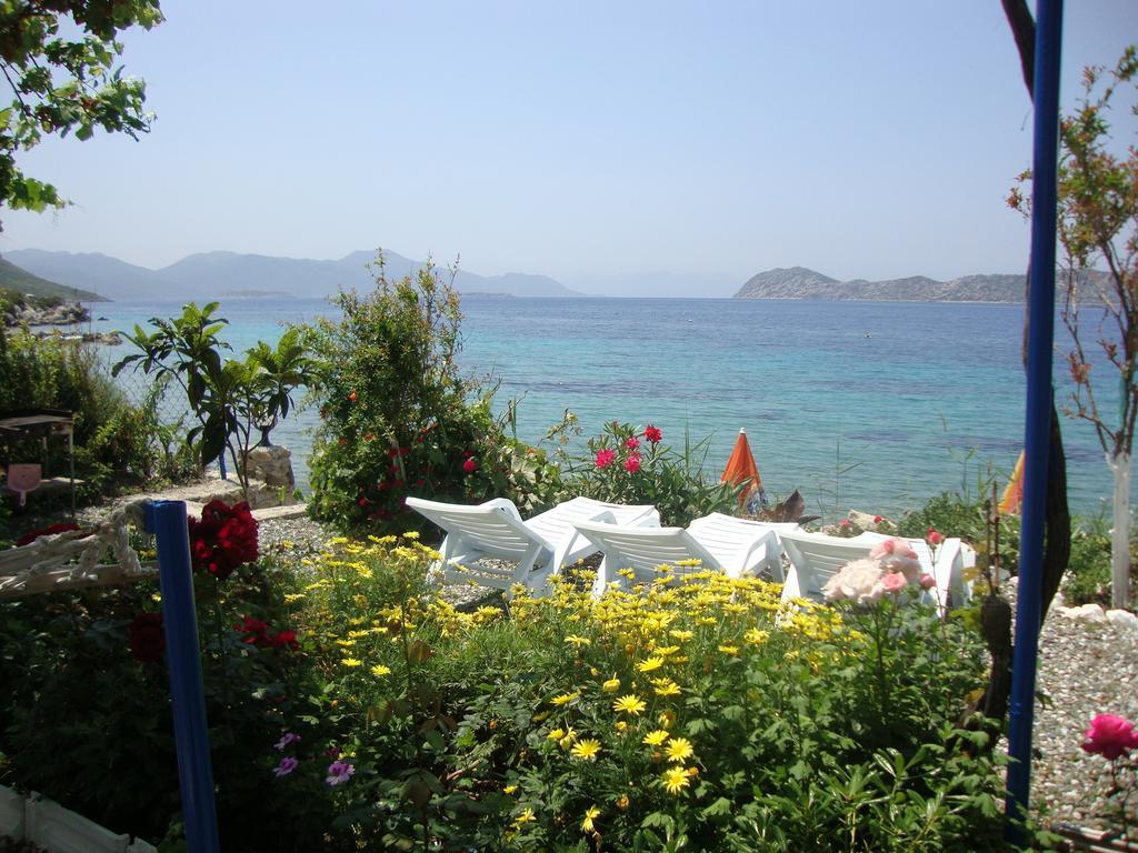 Mavi Akvaryum Pension Hotel Sogut  Kültér fotó